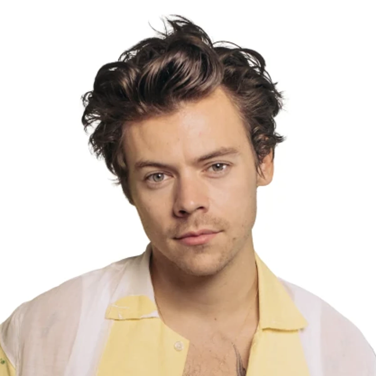 Harry Styles